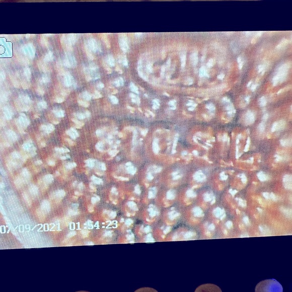 VNTG Stg Silver 20 Travel Charm Bracelet, Sterling Silver, 925, & 835 charms - Picture 9 of 11